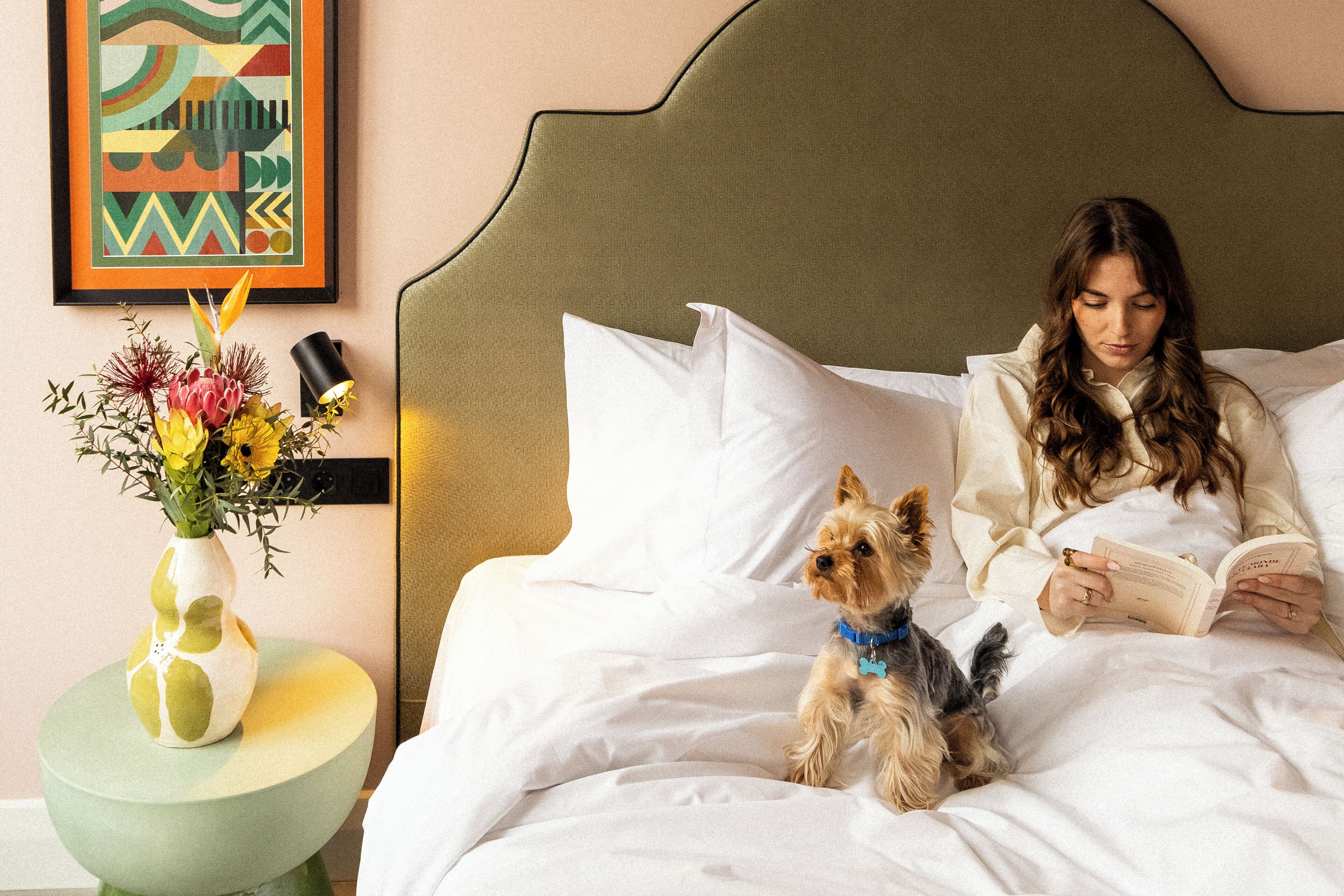 Chambre Supérieure, vue ville