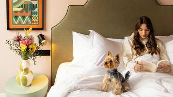 Chambre Supérieure, vue ville