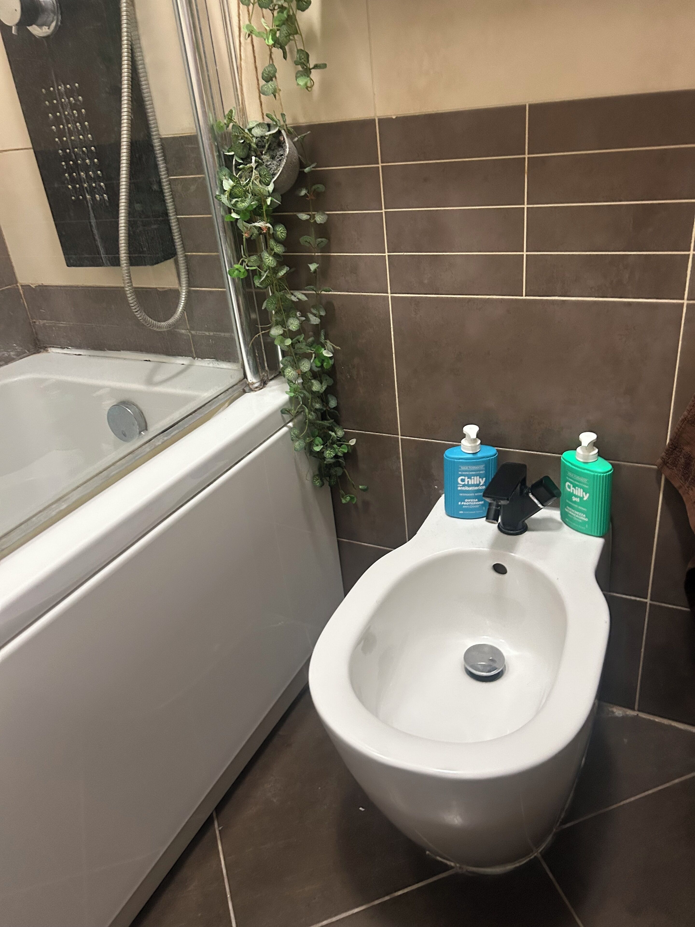 Bañera de hidromasaje, secador de pelo, bidé y toallas