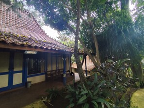 Familien-Doppelzimmer