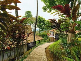 Jardín