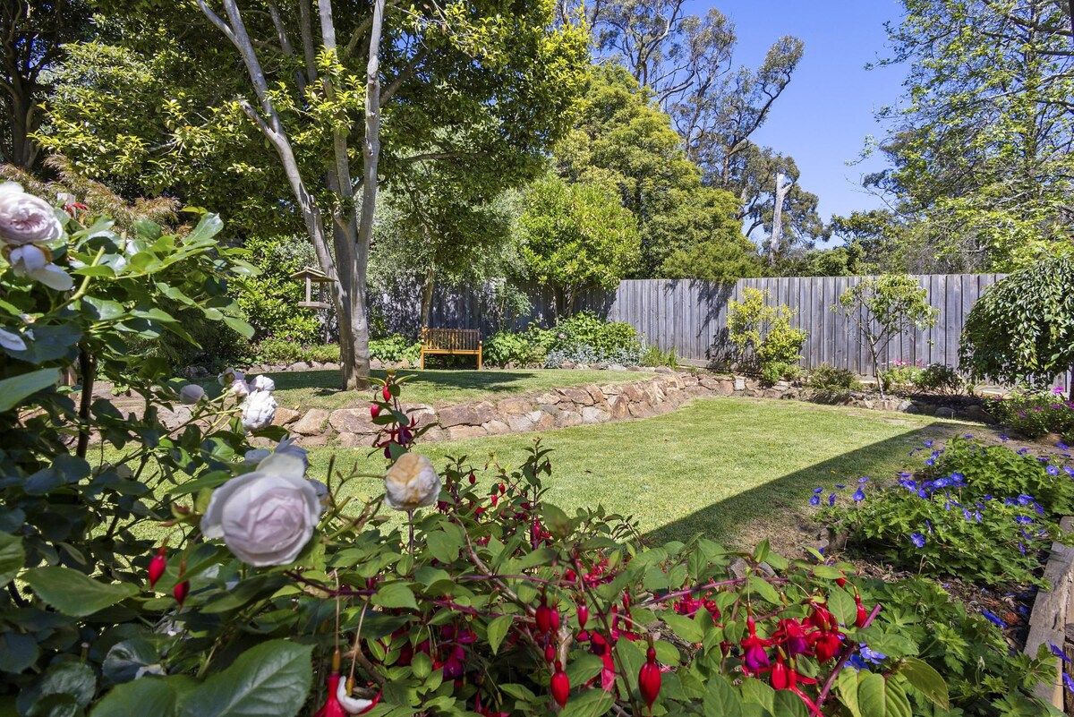 Un jardin bien entretenu, avec une variété de plantes et une clôture en bois.