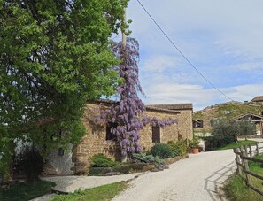 Exterior - Agriturismo Alla Vecchia Quercia - Montaiate small apartment for 2 persons (Marche)
