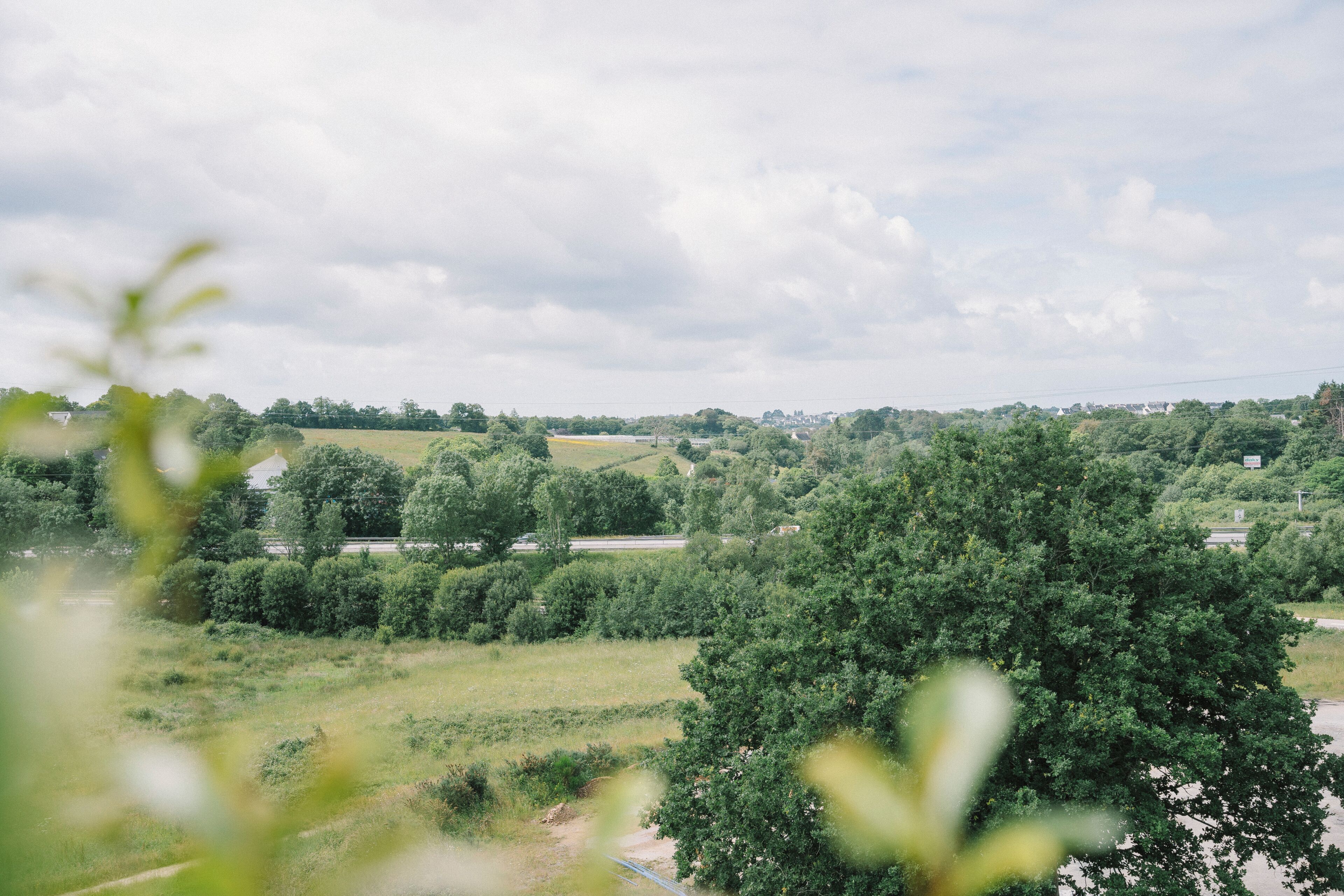 A rural landscape with a road, trees, and a distant view of a town.