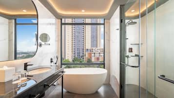 Suite ejecutiva, 1 cama doble con sofá cama | Exterior