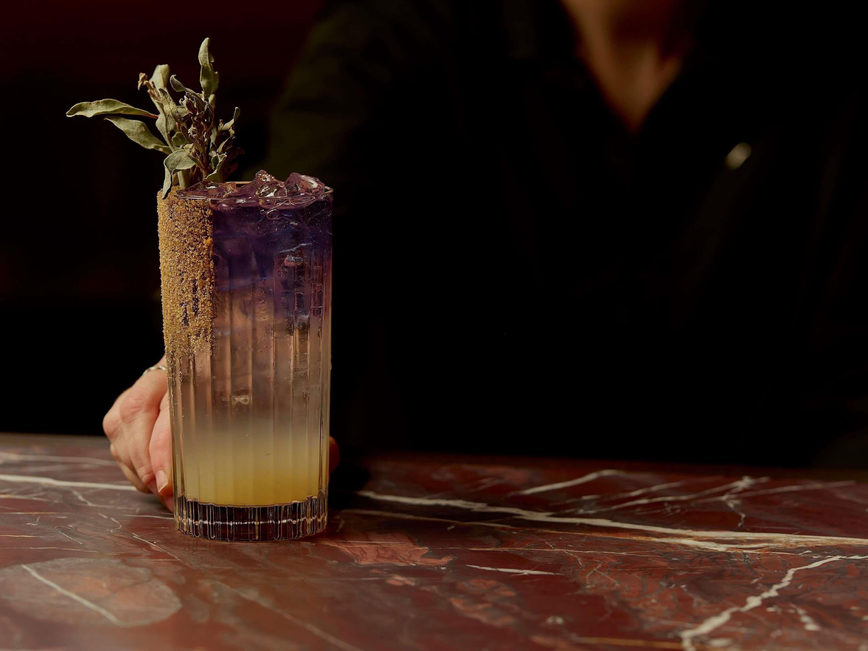 A tall glass with a plant garnish, held by a person.