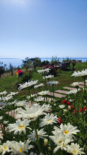 Lotus Gerze Tatil Evleri