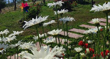 Lotus Gerze Tatil Evleri