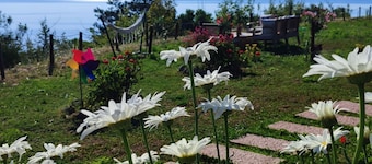 Lotus Gerze Tatil Evleri