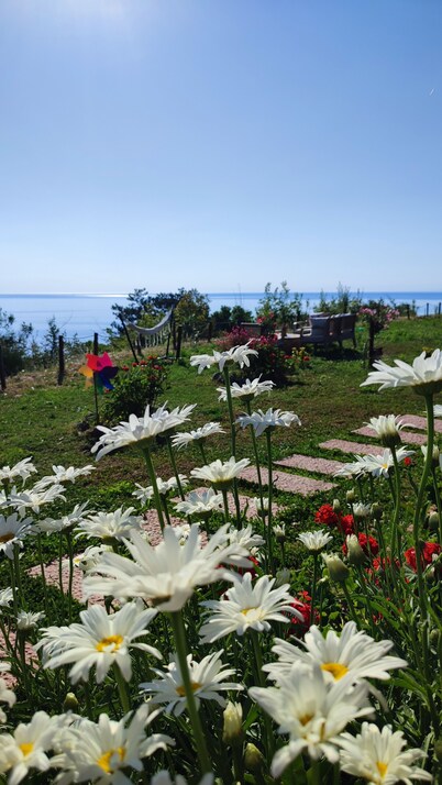 Lotus Gerze Tatil Evleri
