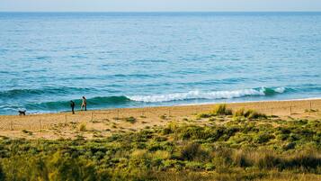 Beach nearby, white sand