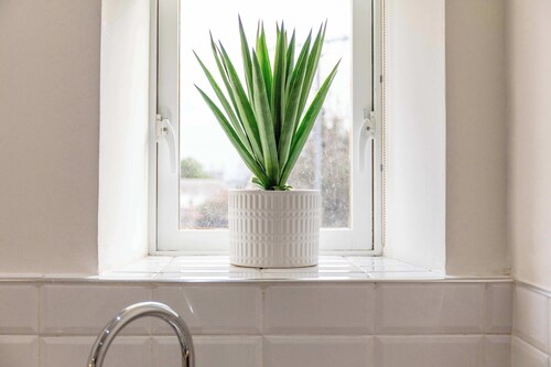 Main Street View - Donnini Apartments