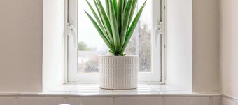 Main Street View - Donnini Apartments