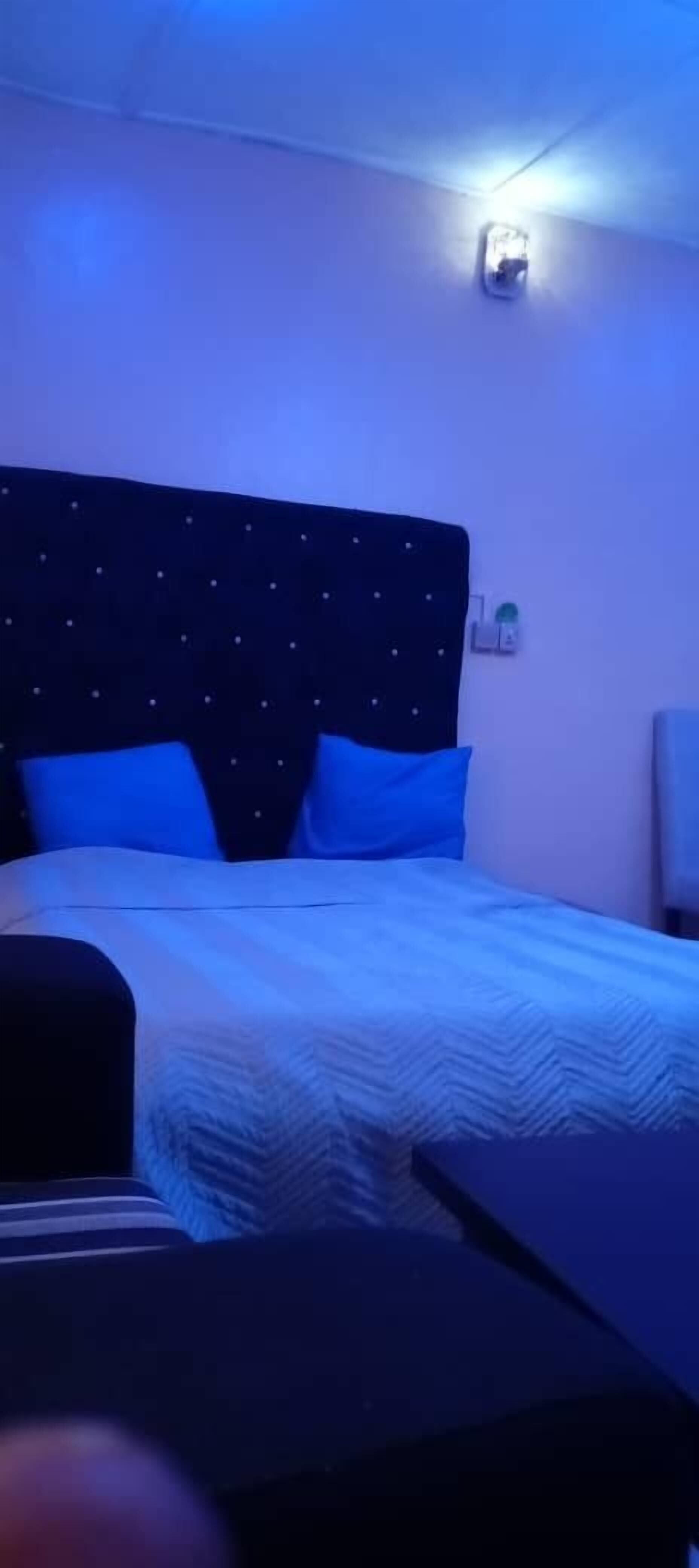 Camera Deluxe con letto matrimoniale o 2 letti singoli