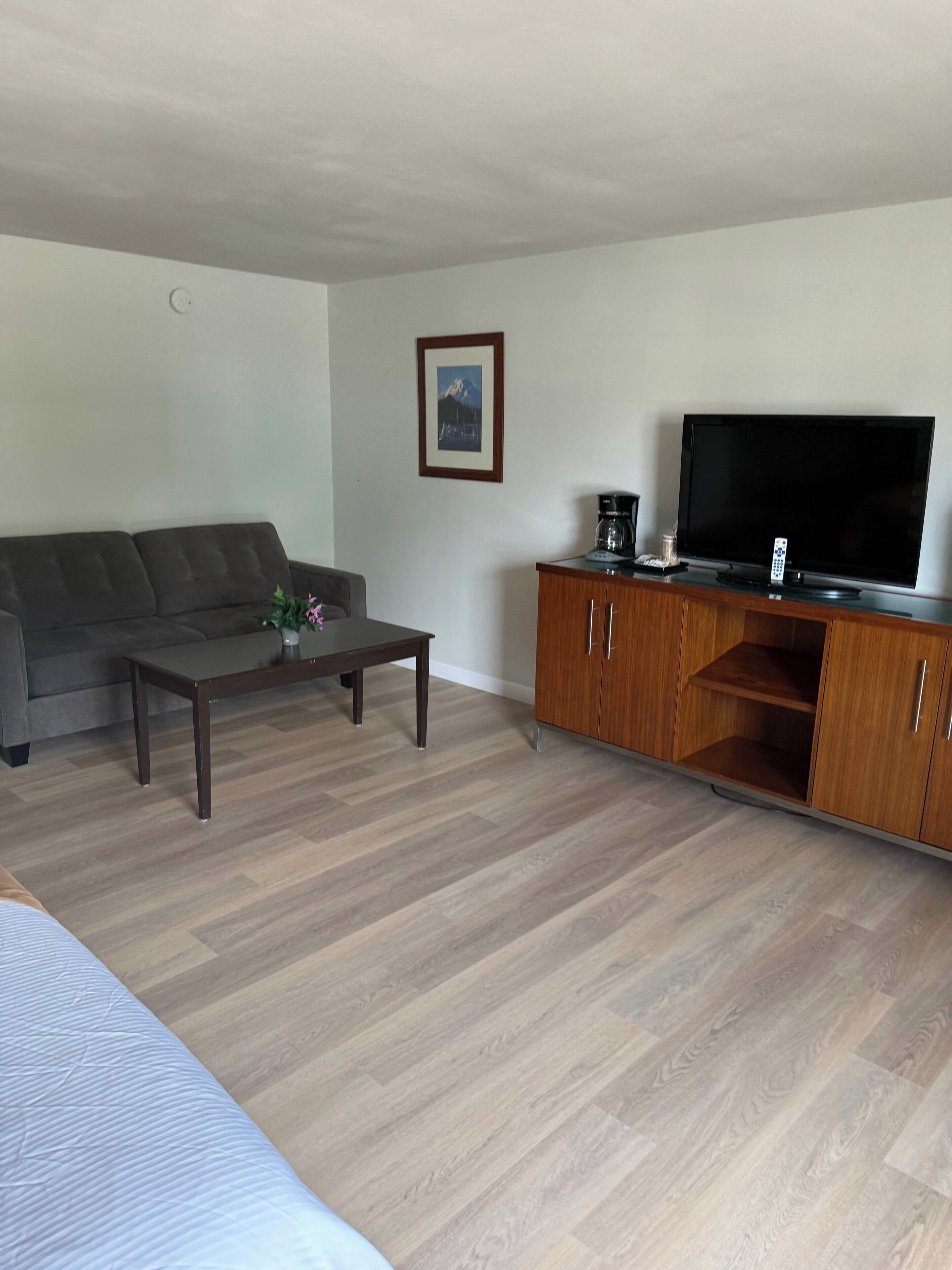 Una sala de estar con sofá, mesa de centro, televisor, aparador de madera y un cuadro en la pared.