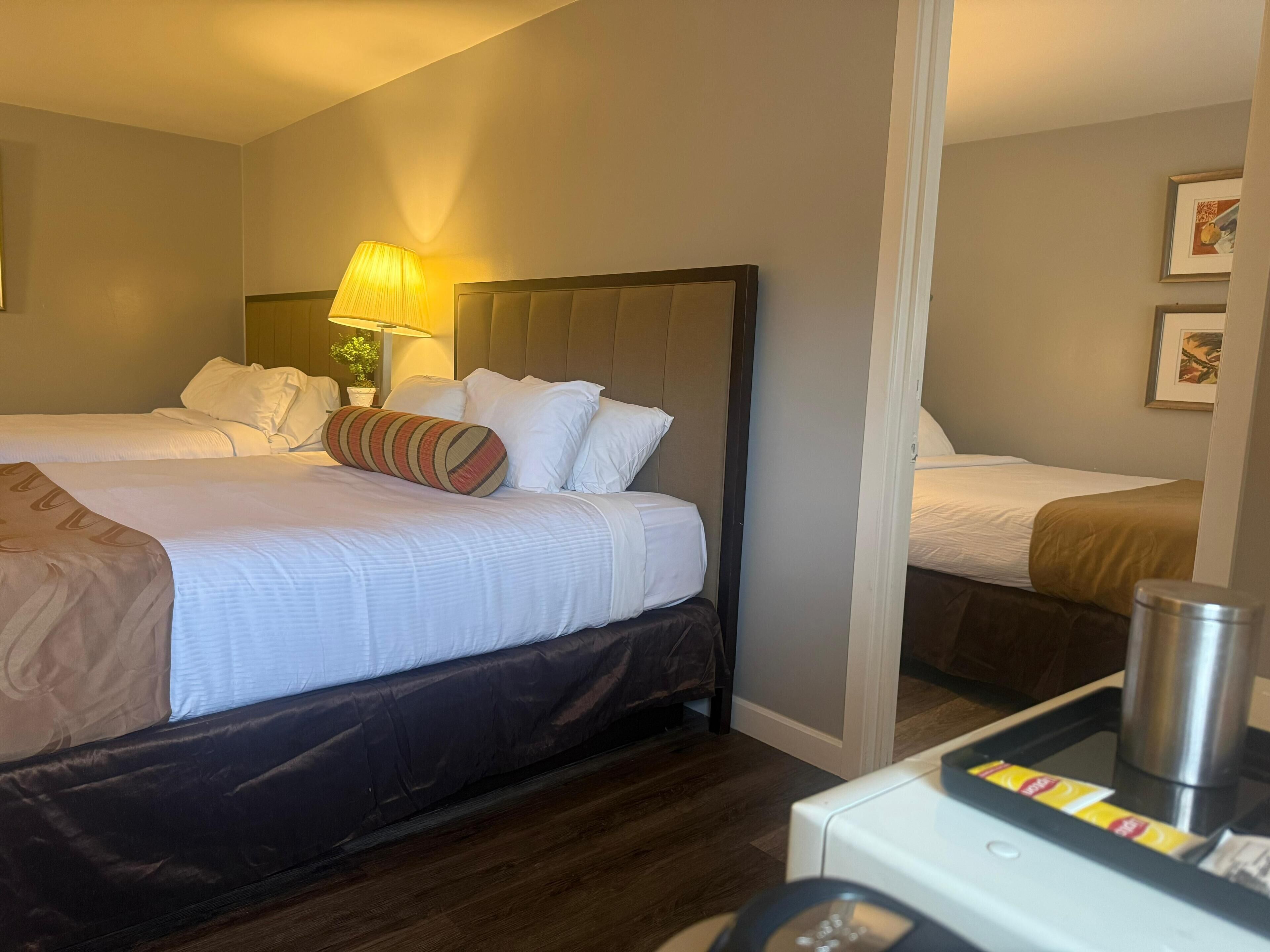A hotel room with two beds, a bedside table with a lamp, a small potted plant, and a framed picture on the wall.