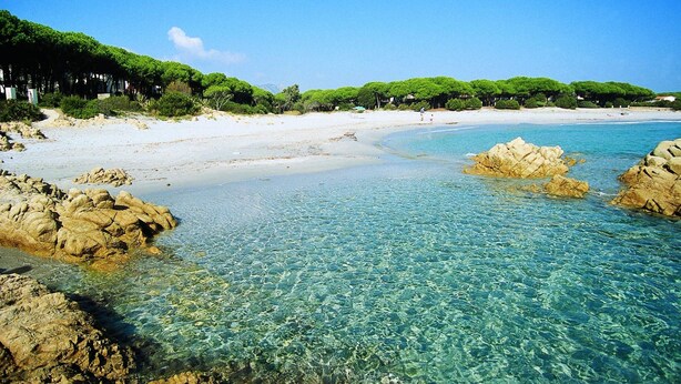 A beach with clear water, rocky outcrops, and green trees. - Apartment Surrounded by Nature (Orosei)