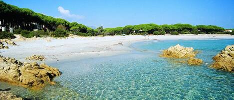 Apartment, 2 Bedrooms, Terrace | Beach