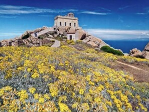 开间, 多间卧室 | 兴趣点