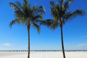 Deux palmiers sur une plage, avec un ciel bleu dégagé.