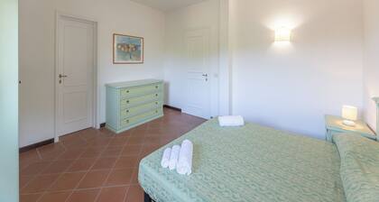 Comfortable and Bright Flat