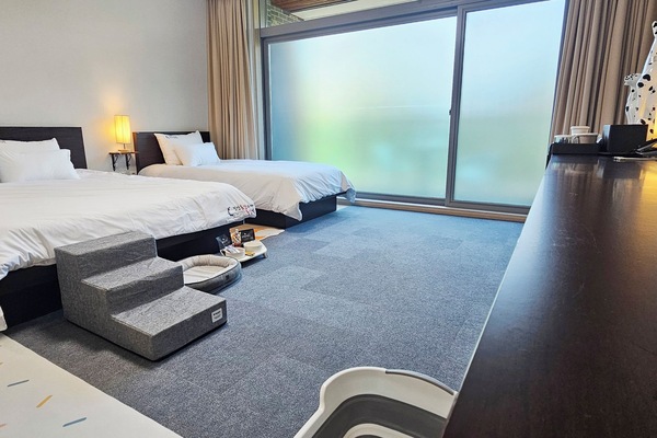 بديكورات فريدة لكل غرفة وطراز فريد لكل وحدة وواي فاي مجانًا