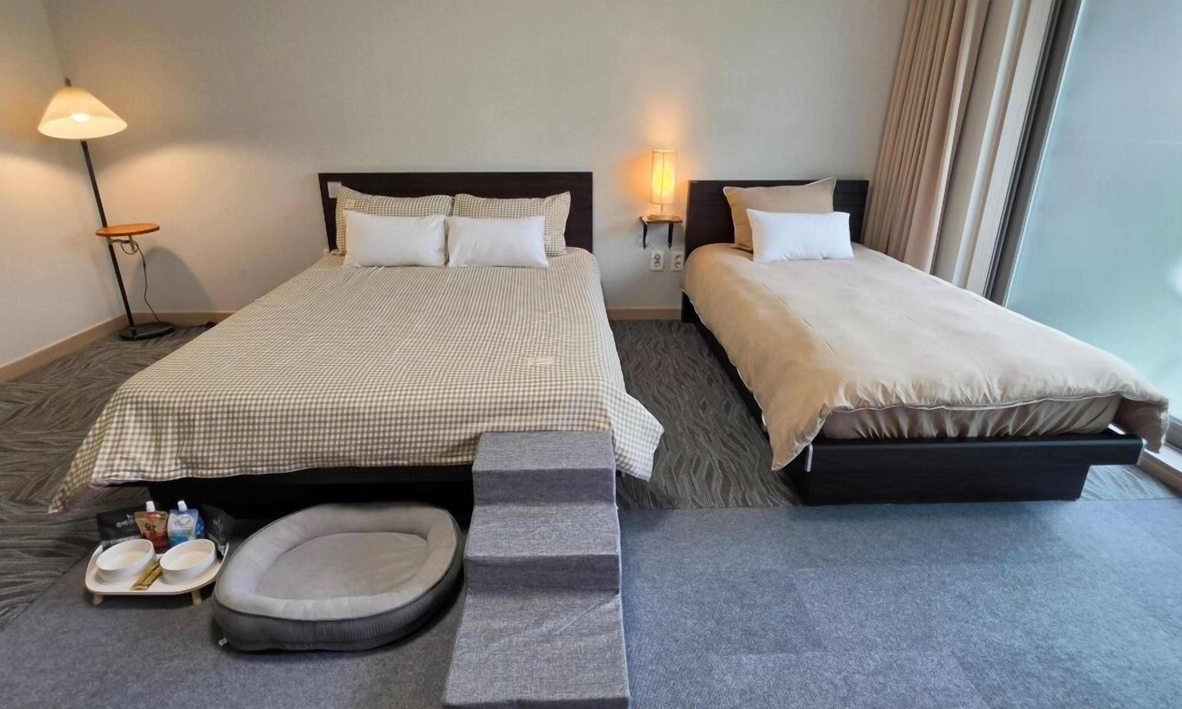 A hotel room with two beds, a bedside table with a lamp, a pet bed, and a small table with a bowl and bottle.