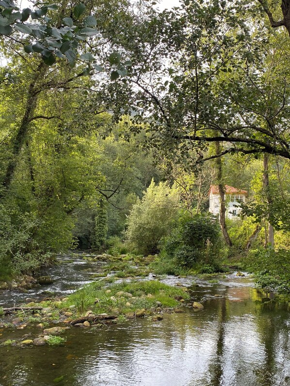 A serene river flowing through a lush, green forest with dense foliage overhead. - Apartment for four people in nature (Grado)