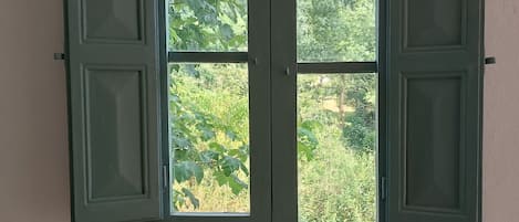 Una ventana con contraventanas verdes, una planta en maceta en el alféizar y vistas al verdor exterior.