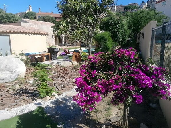 Terrein van de accommodatie