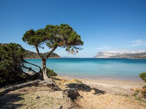 Apart Daire, 2 Yatak Odası, Teras | Plaj