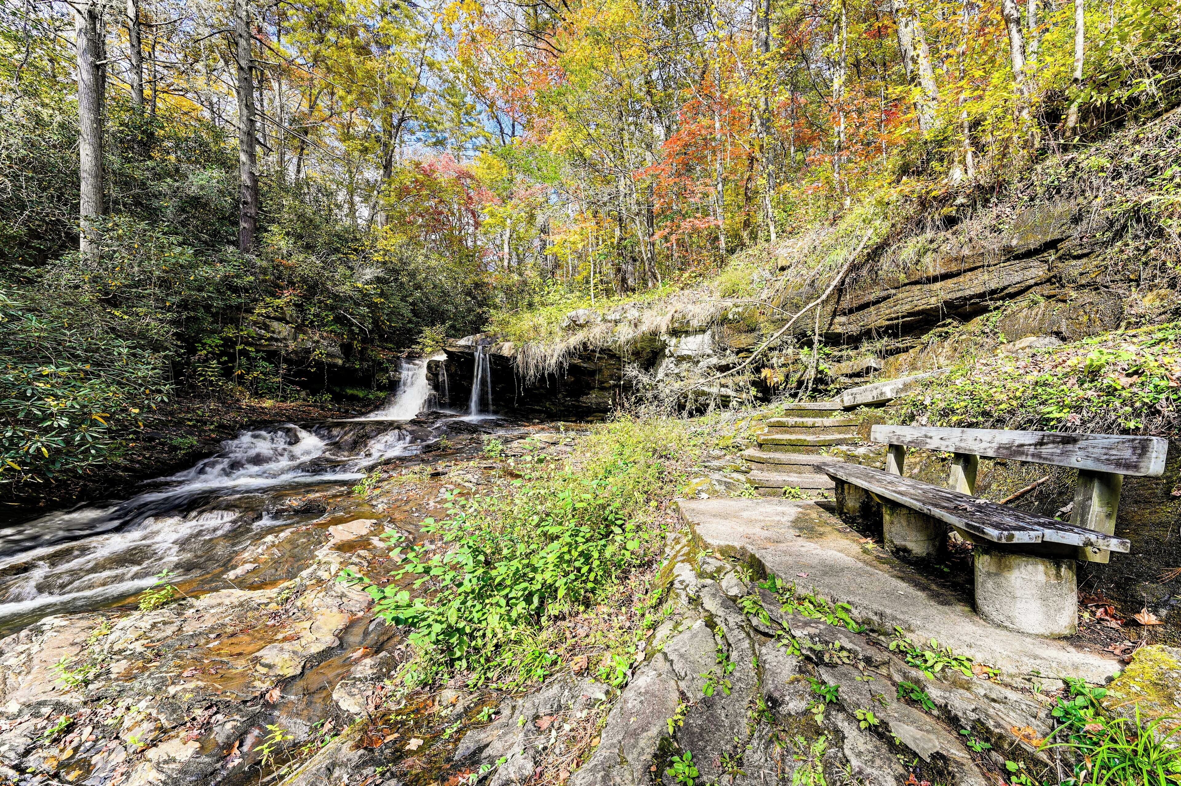 A waterfall in a forested area with a wooden bench and stone steps.