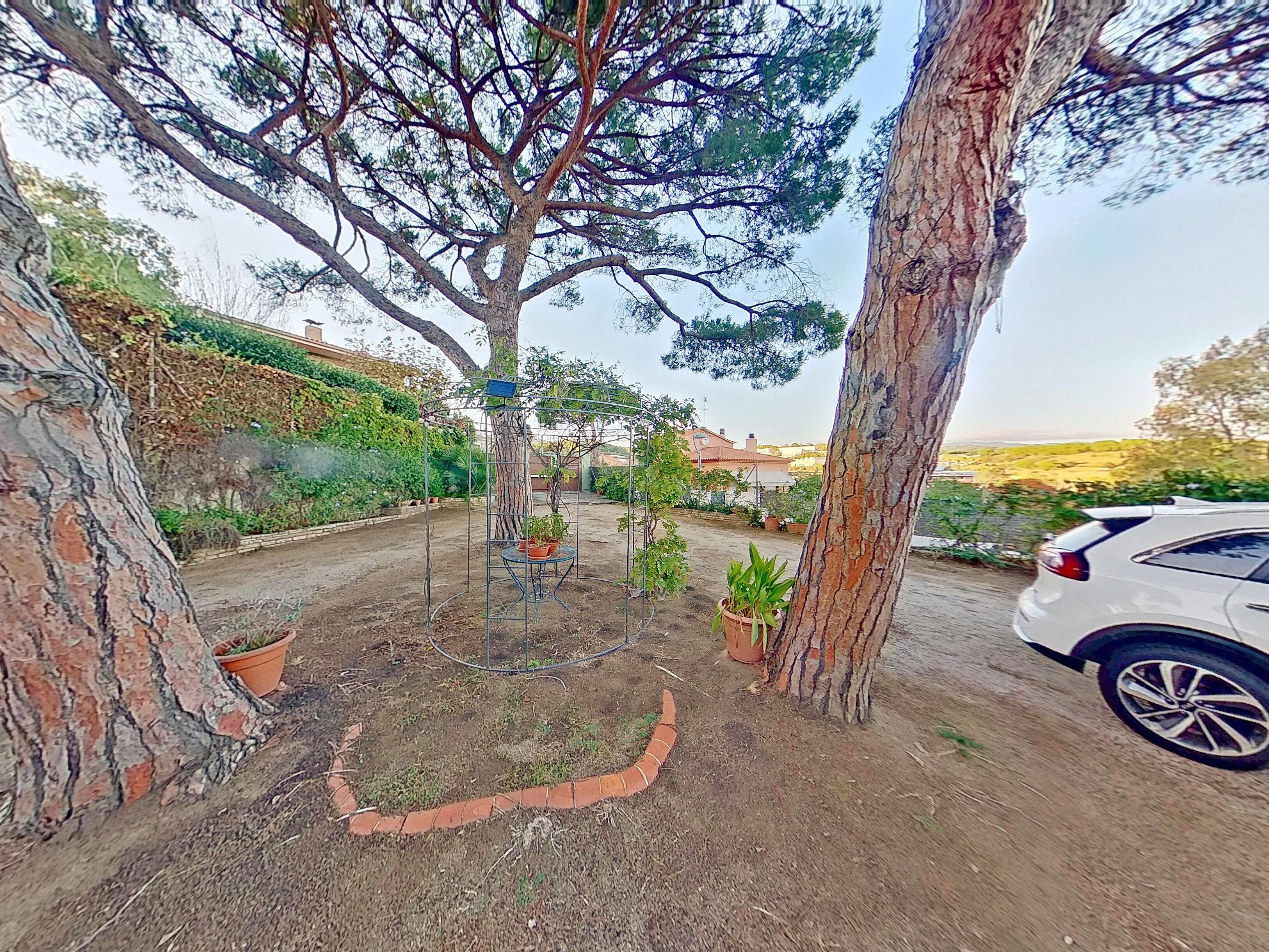 Un giardino con un traliccio in metallo, piante in vaso e un cordolo in mattoni.
