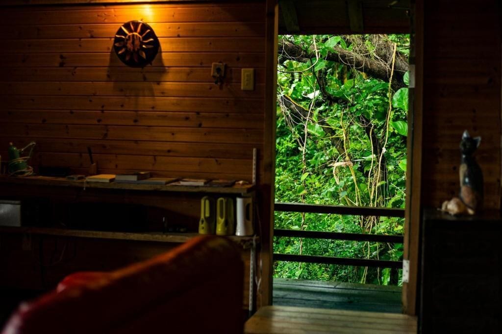 Minibarvarer (inkludert), blendingsgardiner og strykejern/-brett