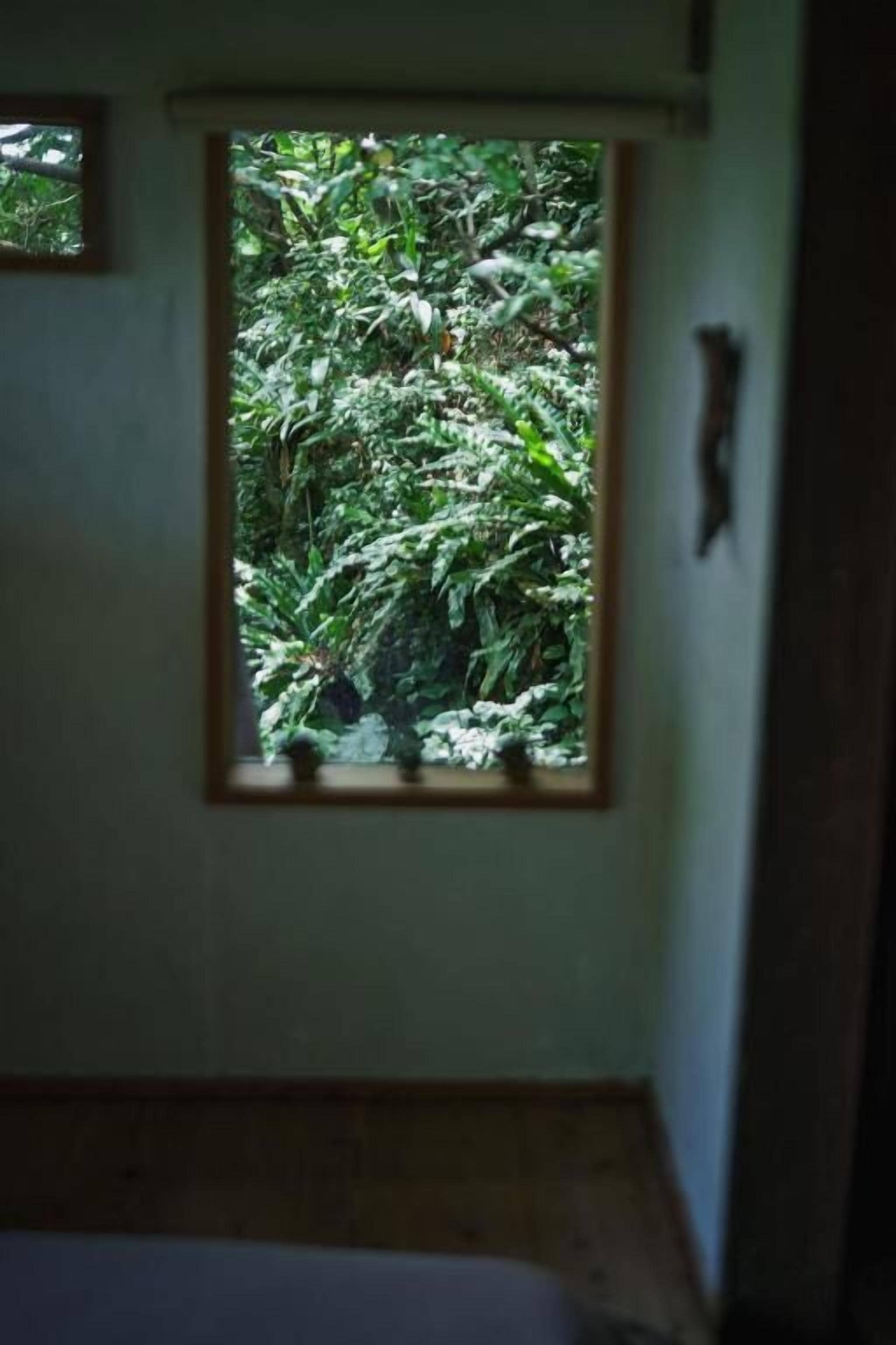 Free minibar items, blackout drapes, iron/ironing board, free WiFi