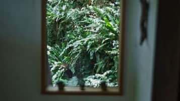 Free minibar items, blackout drapes, iron/ironing board, free WiFi