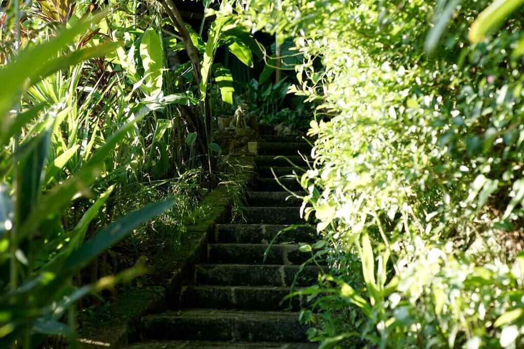 Jardim