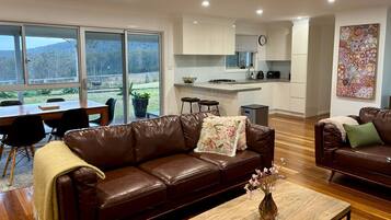 TV, fireplace, ping pong