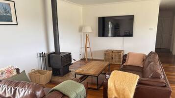 TV, fireplace, ping pong