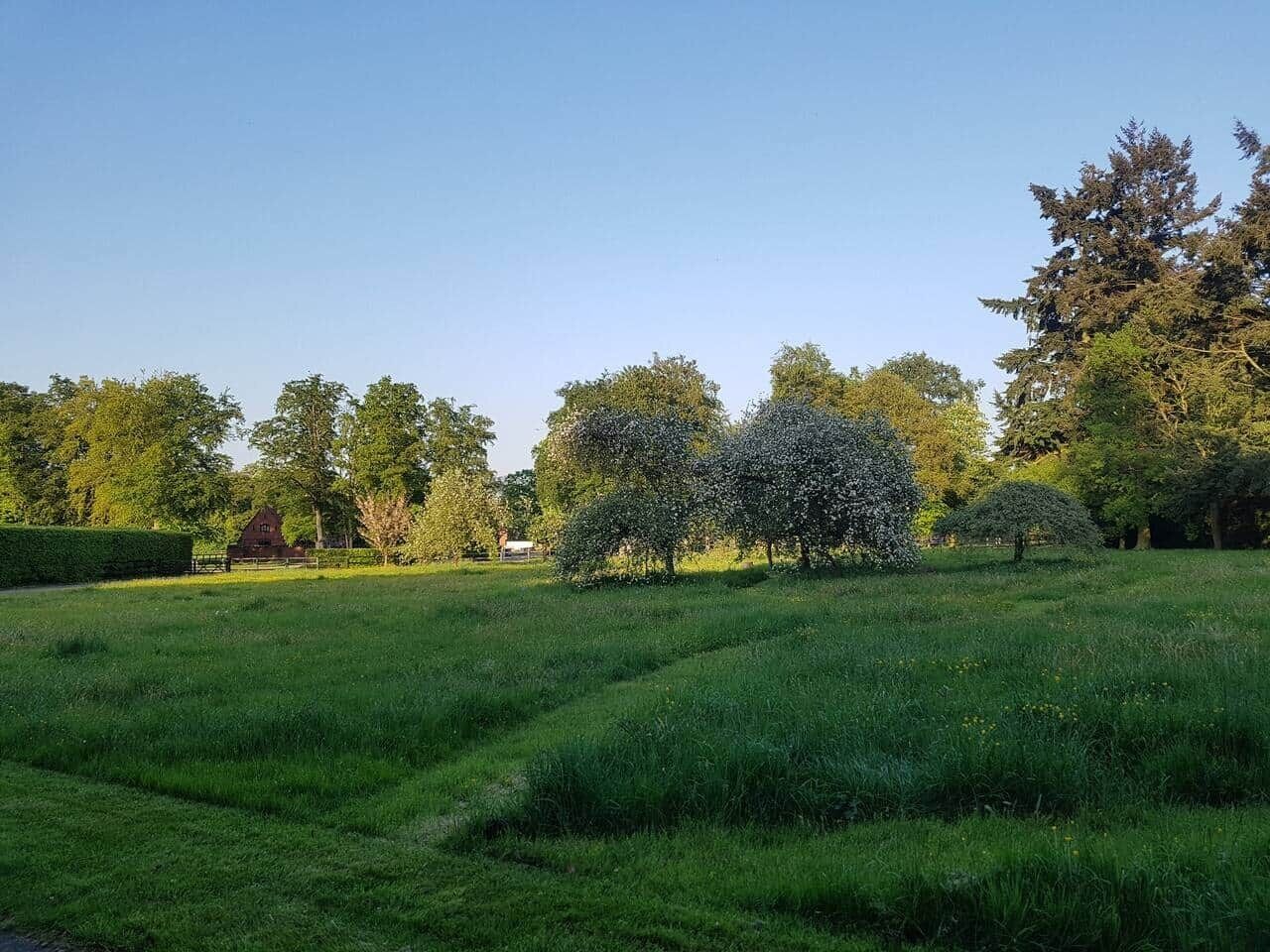 Een grasveld met bomen en een klein gebouw in de verte.