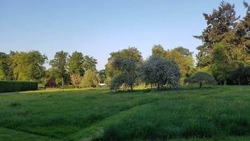 Een grasveld met bomen en een klein gebouw in de verte.