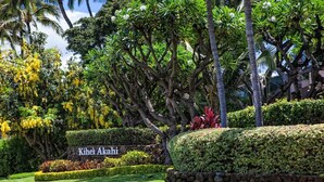 Ein gepflegter Garten mit einem Schild, auf dem 'Kihei Akahi' steht, umgeben von üppiger Vegetation und Palmen.
