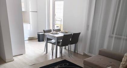 Morden Spacious Apartment