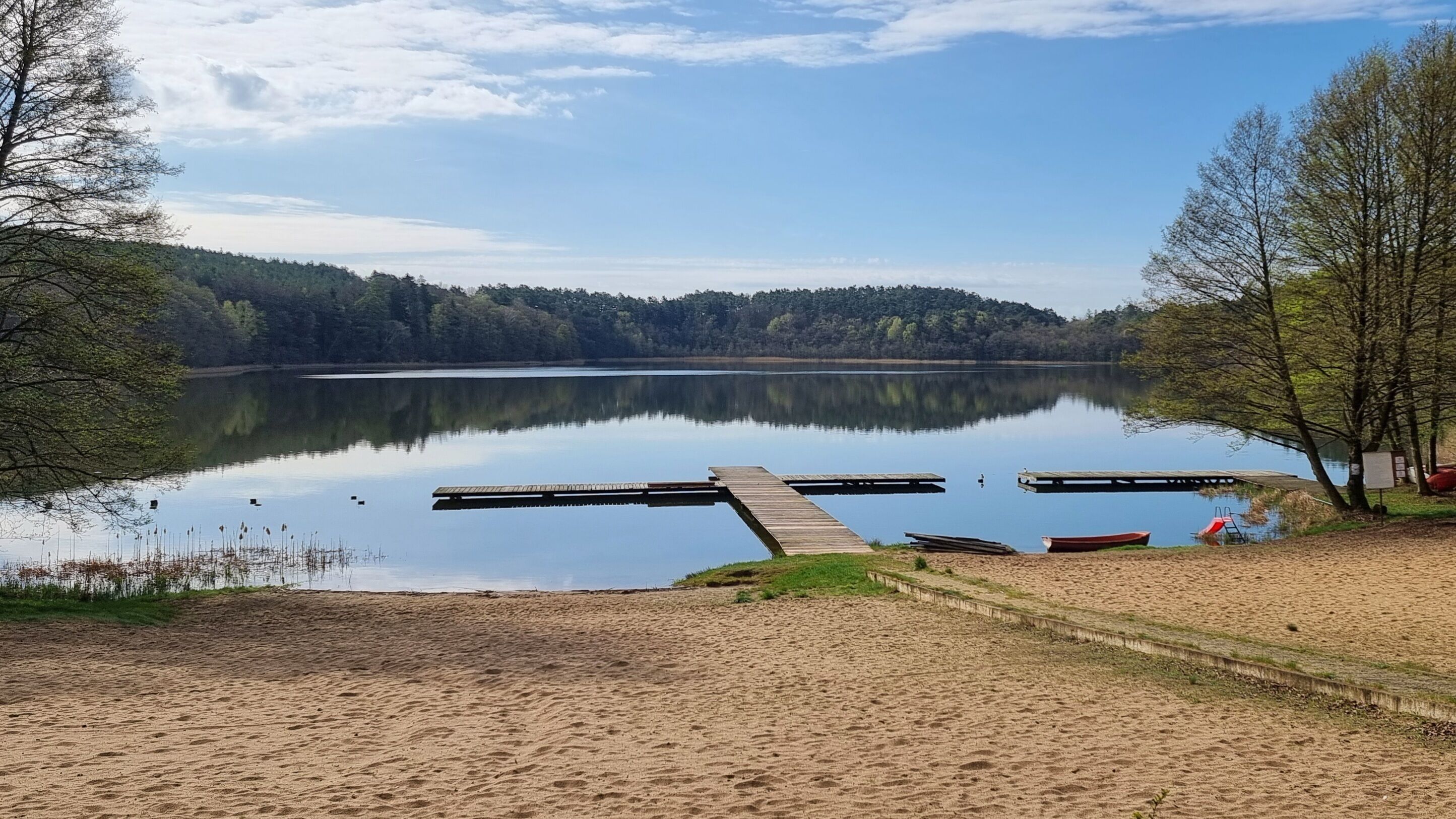 Un lago tranquilo con un muelle de madera que se adentra en el agua, rodeado de árboles y una playa de arena.
