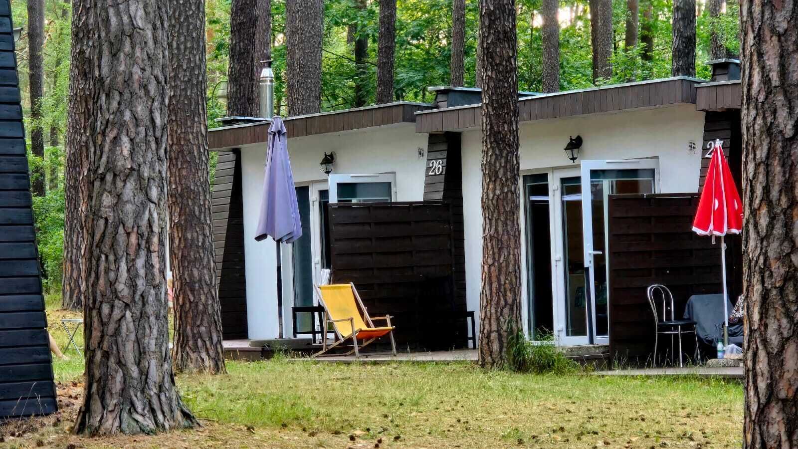 Economy Cottage 3 rooms in a terraced house | Terrace/patio