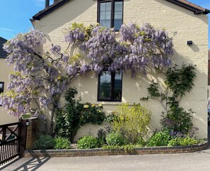 Une maison avec un jardin agrémenté de glycines violettes et de fleurs jaunes.