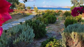 A garden pathway leading to a beach with various shrubs and plants. - Beachfront Ios Villa (Ios)