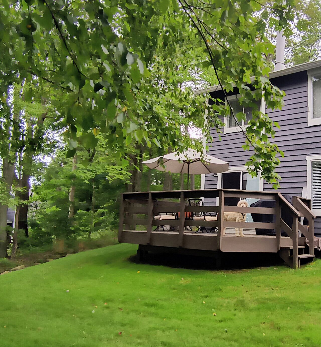 A covered outdoor deck with a table and chairs, a dog, and a house in the background.