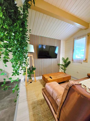 Televisor intel·ligent 