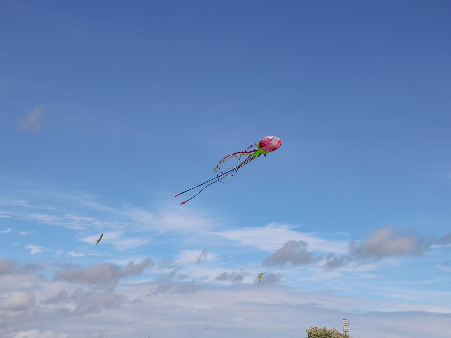 A clear blue sky with a pink and green kite flying.